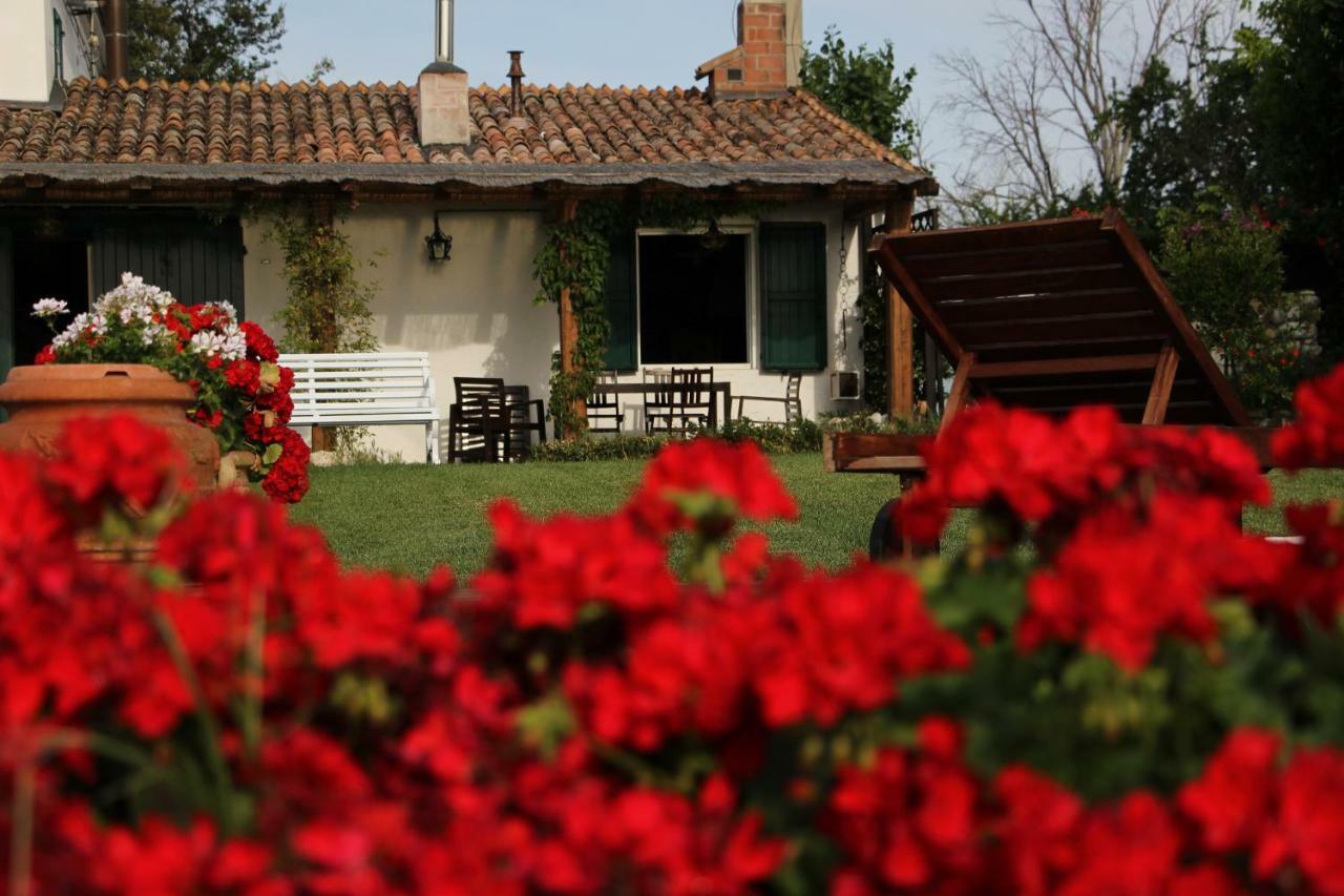 Casa S.Paolo Villa Rimini Eksteriør billede